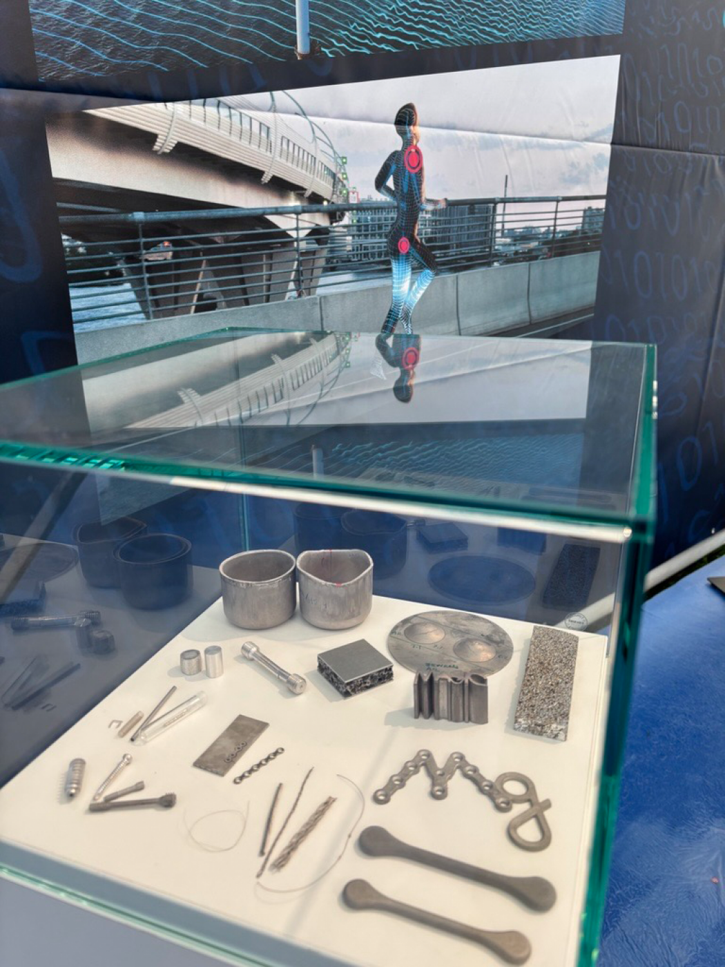 In dieser Vitrine sind unter anderem medizinische Knochenimplantate und Stents aus Magnesium zu sehen. Foto: Hereon/Torsten Fischer